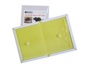 Mice & Rat Glue Trap