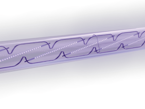 Chameleon<sup>®</sup> Qualis - Image 5