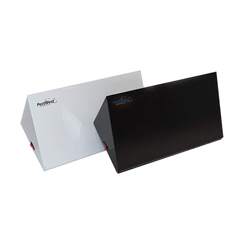 Chameleon-Uplight-QBL-LED-1K-px