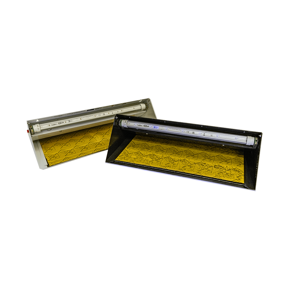Chameleon-Uplight-QBL-LED-1K-px2