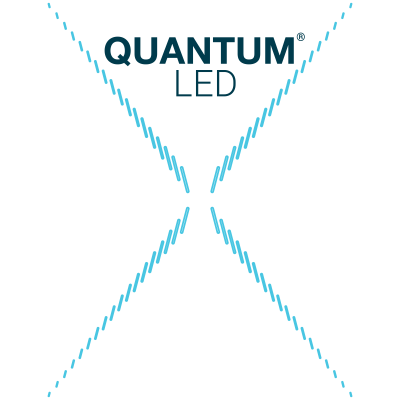 Quantum Quantum